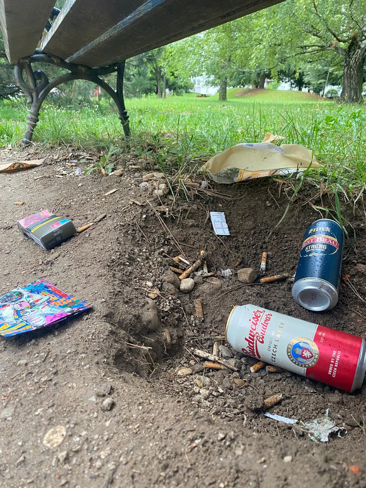 TrashTrek before cleanup - Zone boisée